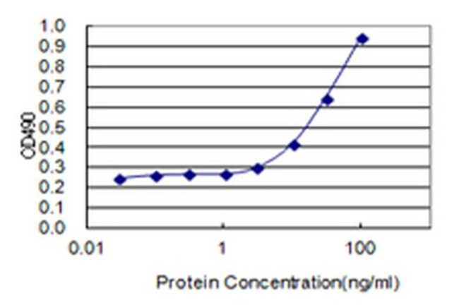 Enkurin Antibody in ELISA (ELISA)