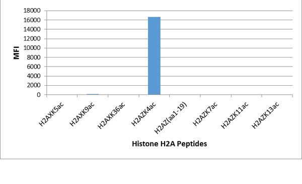 H2A.ZK4ac Antibody in Luminex (LUM)