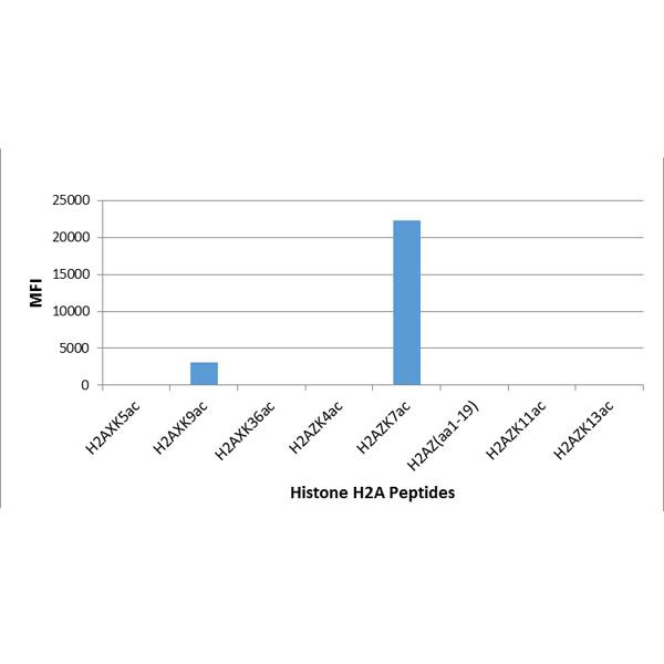H2A.ZK7ac Antibody in Luminex (LUM)