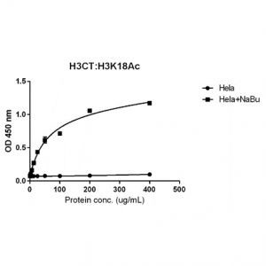 H3K18ac Antibody in ELISA (ELISA)