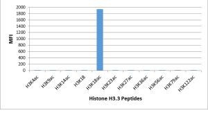 H3K18ac Antibody in Luminex (LUM)