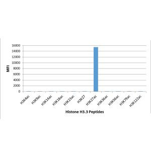 H3K27ac Antibody in Luminex (LUM)