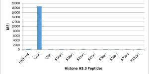 H3K4ac Antibody in Luminex (LUM)