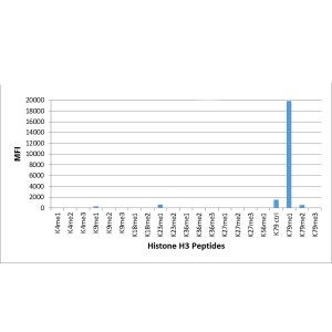 H3K79me1 Antibody in Luminex (LUM)