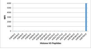 H3K79me3 Antibody in Luminex (LUM)