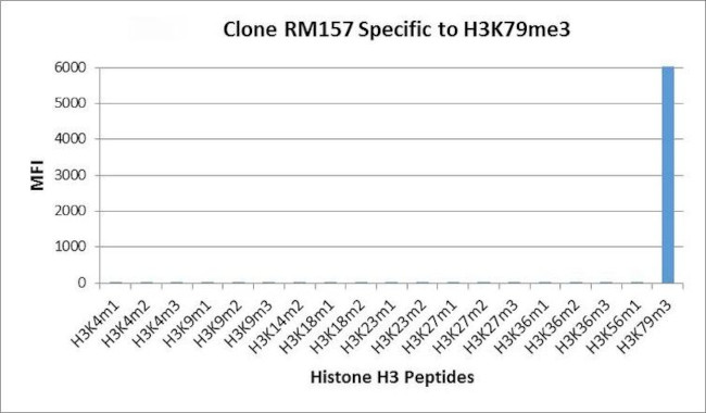 H3K79me3 Antibody in Peptide array (ARRAY)