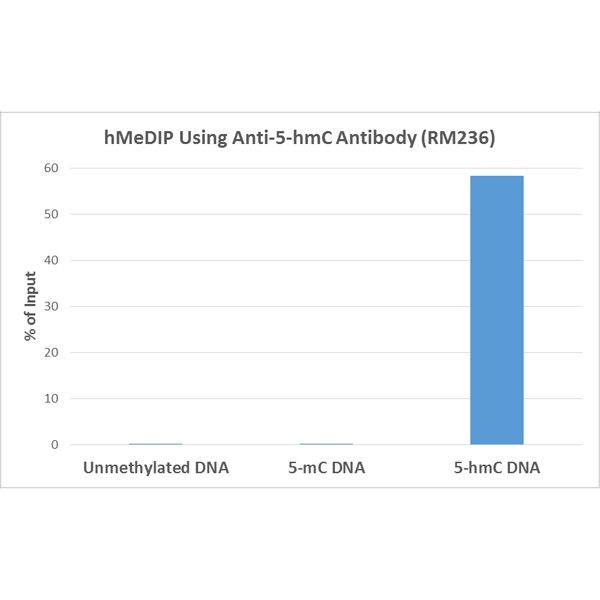 5-Hydroxymethylcytosine Antibody in Immunoprecipitation (IP)