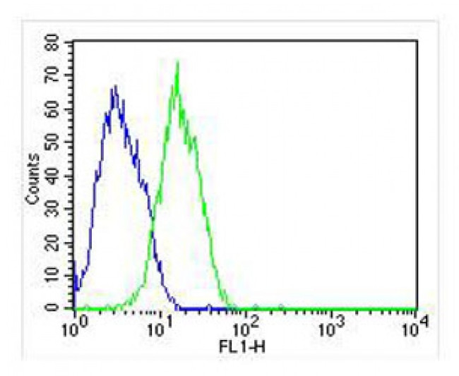 RAB3B Antibody in Flow Cytometry (Flow)