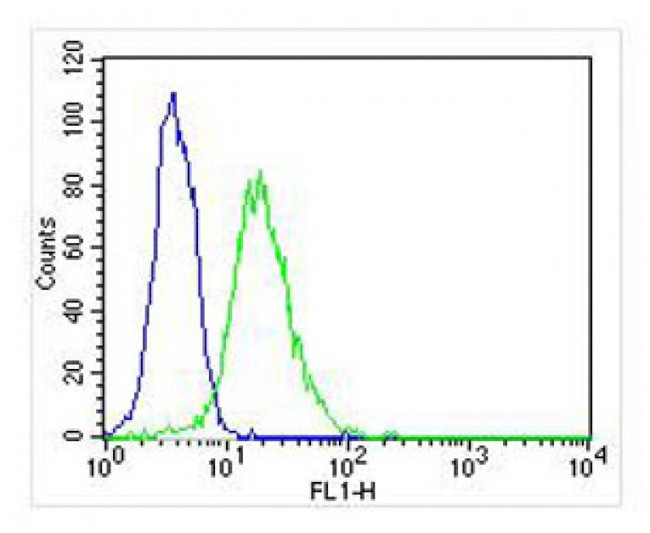 DENR Antibody in Flow Cytometry (Flow)