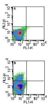 QA-1b Antibody in Flow Cytometry (Flow)