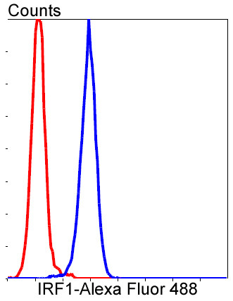 IRF1 Antibody in Flow Cytometry (Flow)