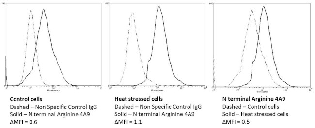 N-terminal Arginylation Antibody in Flow Cytometry (Flow)