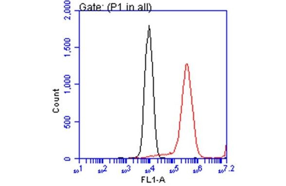 ATP6V1A Antibody in Flow Cytometry (Flow)