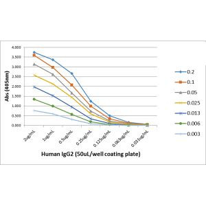 Human IgG2 Secondary Antibody in ELISA (ELISA)