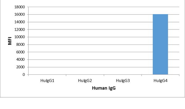 Human IgG4 Fc Secondary Antibody in ELISA (ELISA)