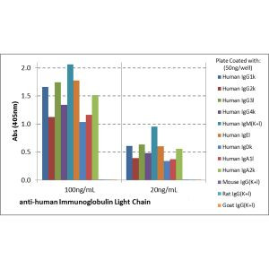 Human Ig (Light chain) Secondary Antibody in ELISA (ELISA)