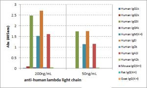Human Lambda Light Chain Secondary Antibody in ELISA (ELISA)
