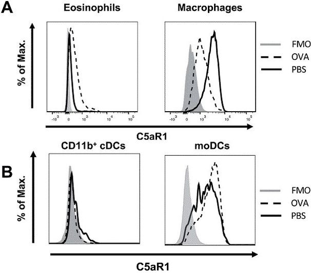 C5AR1 Antibody in Flow Cytometry (Flow)