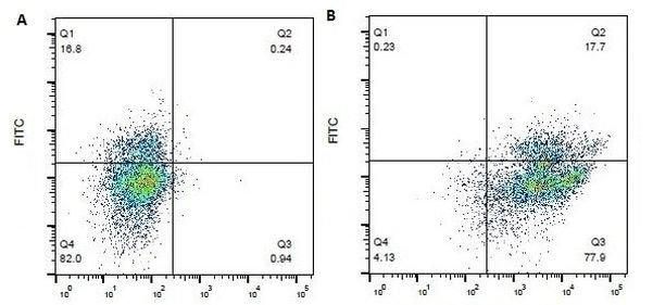 CD18 (LFA-1 beta) Antibody in Flow Cytometry (Flow)