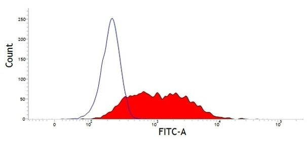 CD63 Antibody in Flow Cytometry (Flow)