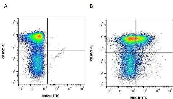 MHC II Monomorphic Antibody in Flow Cytometry (Flow)