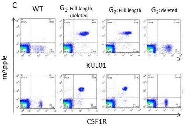 Macrophages/Monocytes Antibody in Flow Cytometry (Flow)