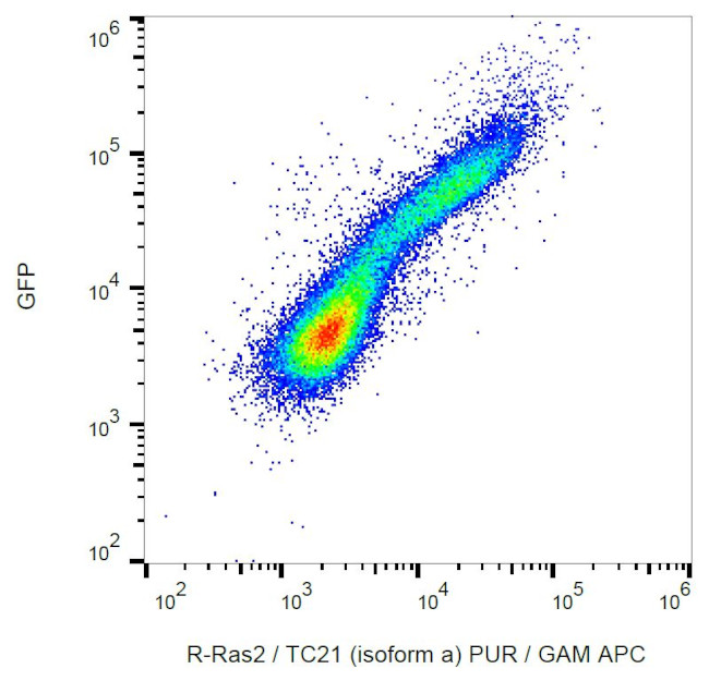 RRAS2 Antibody in Flow Cytometry (Flow)