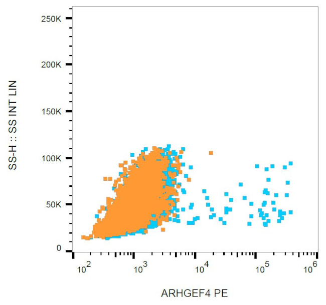 ARHGEF4 Antibody in Flow Cytometry (Flow)