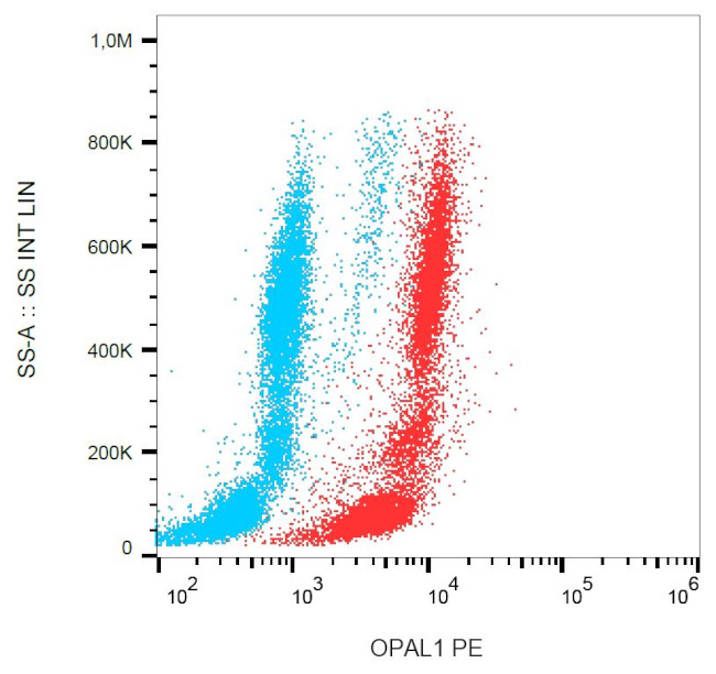 WBP1L Antibody in Flow Cytometry (Flow)