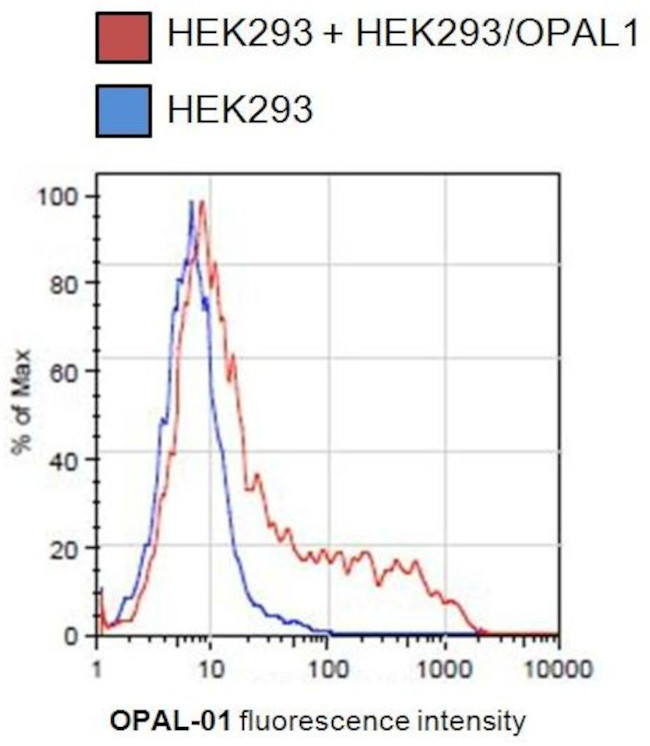 WBP1L Antibody in Flow Cytometry (Flow)