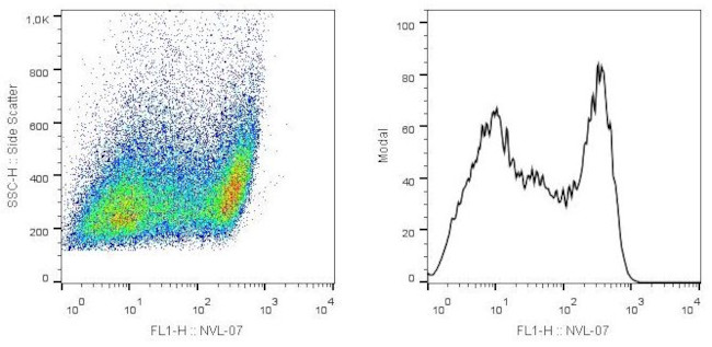 SCIMP Antibody in Flow Cytometry (Flow)