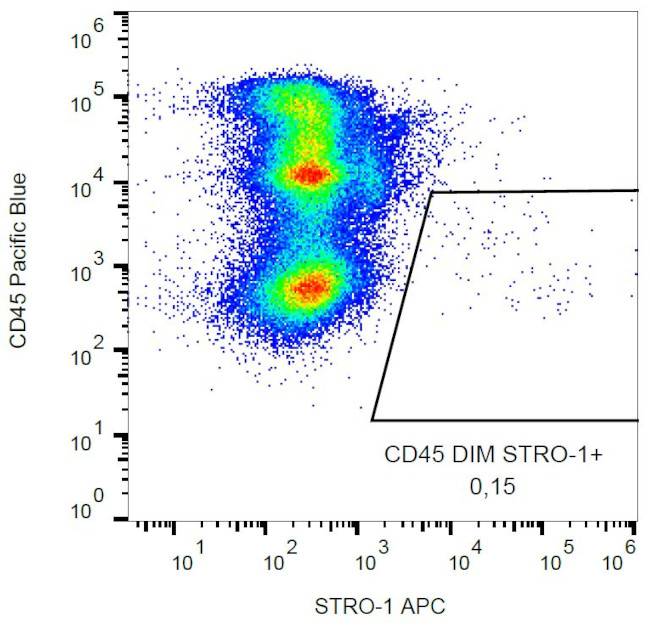 STRO-1 Antibody in Flow Cytometry (Flow)