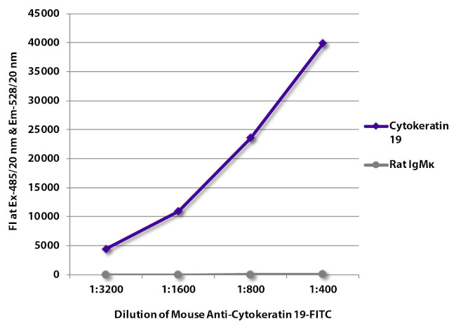 Cytokeratin 19 Antibody in ELISA (ELISA)