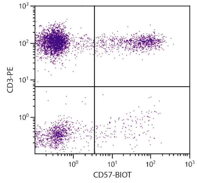 CD57 Antibody in Flow Cytometry (Flow)