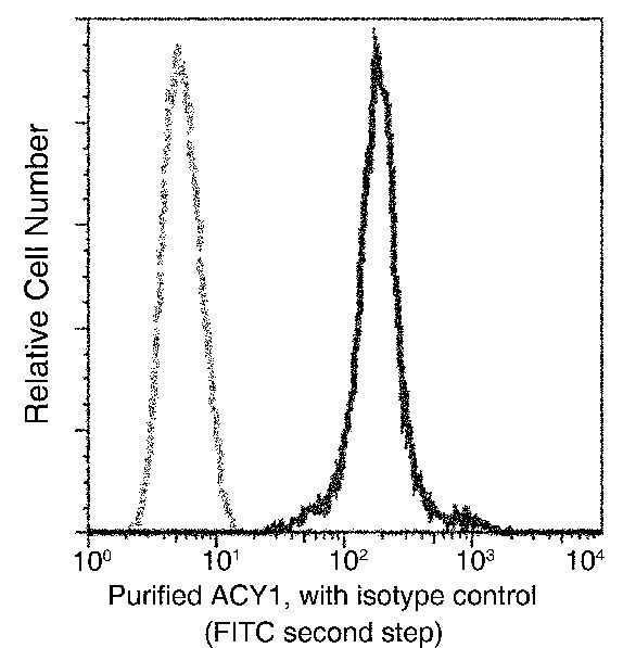 Aminoacylase Antibody in Flow Cytometry (Flow)