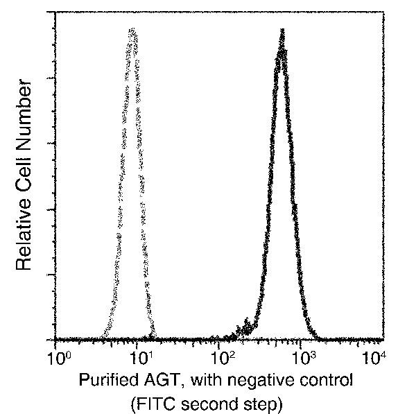 Angiotensinogen Antibody in Flow Cytometry (Flow)