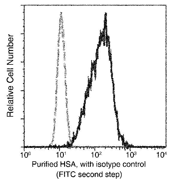 Human Serum Albumin Antibody in Flow Cytometry (Flow)