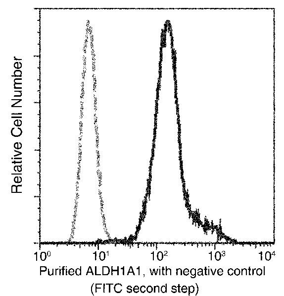 ALDH1A1 Antibody in Flow Cytometry (Flow)