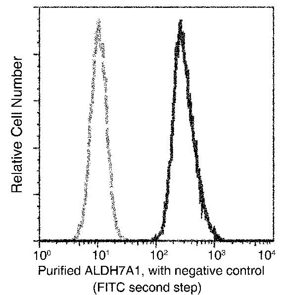 ALDH7A1 Antibody in Flow Cytometry (Flow)