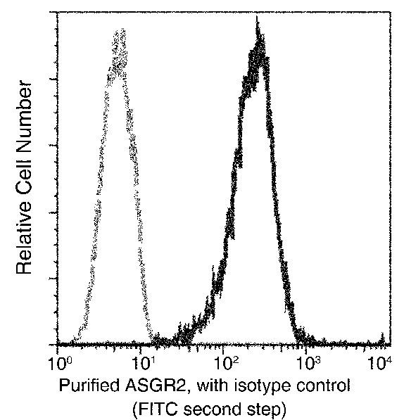 ASGR2 Antibody in Flow Cytometry (Flow)