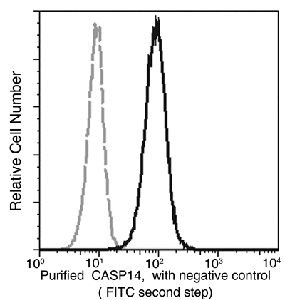 Caspase 14 Antibody in Flow Cytometry (Flow)