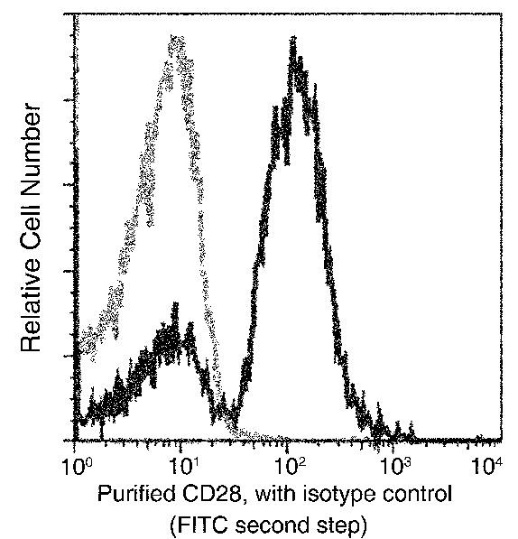 CD28 Antibody in Flow Cytometry (Flow)