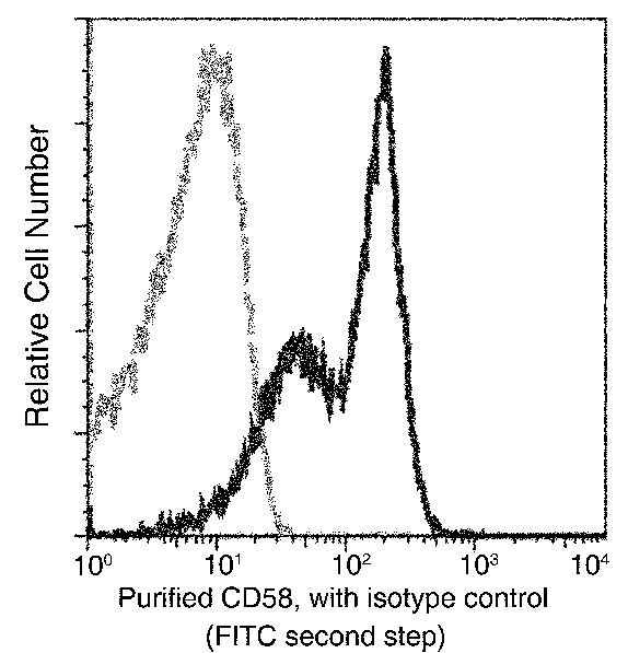 CD58 Antibody in Flow Cytometry (Flow)