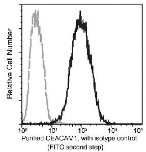 CEACAM1 Antibody in Flow Cytometry (Flow)