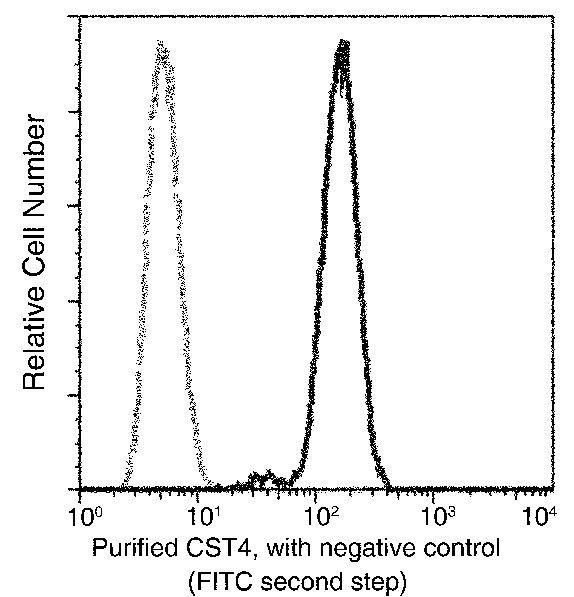 Cystatin S Antibody in Flow Cytometry (Flow)