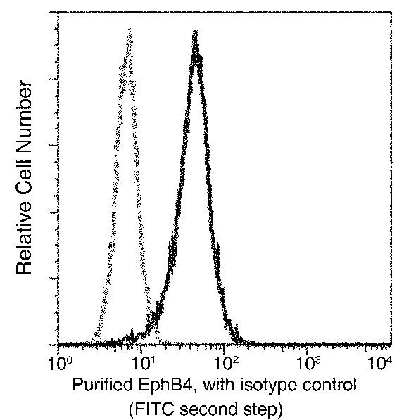 EphB4 Antibody in Flow Cytometry (Flow)