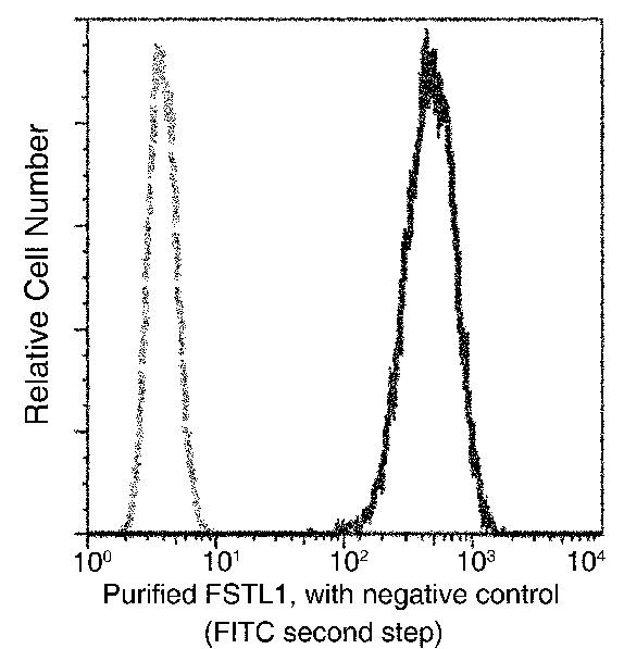 FSTL1 Antibody in Flow Cytometry (Flow)