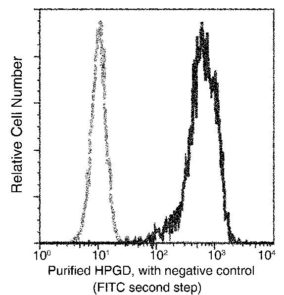 15-PGDH Antibody in Flow Cytometry (Flow)