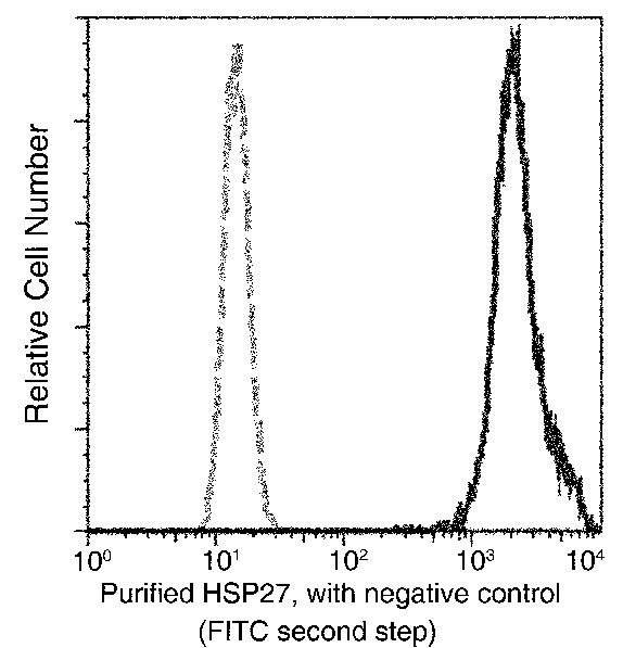 HSP27 Antibody in Flow Cytometry (Flow)