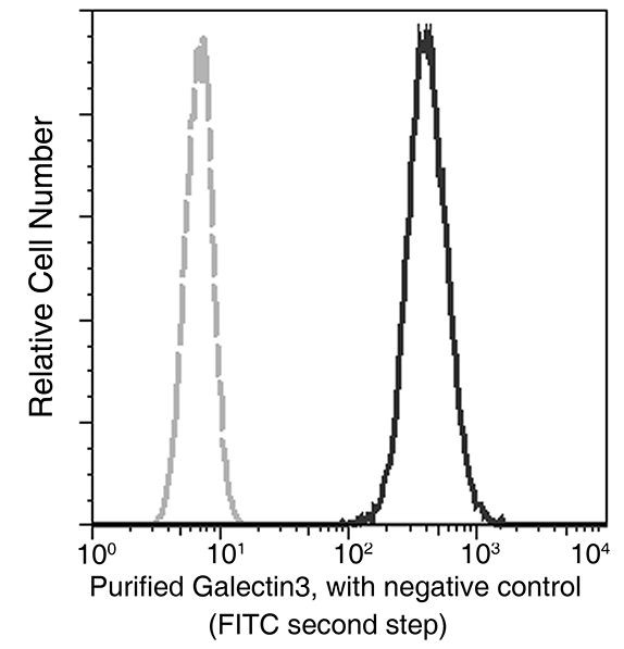 Galectin 3 Antibody in Flow Cytometry (Flow)